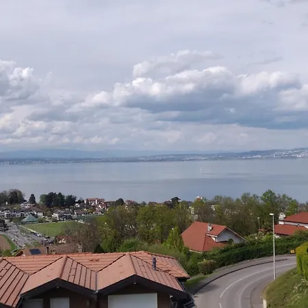 Ambiance Montagne Vue *